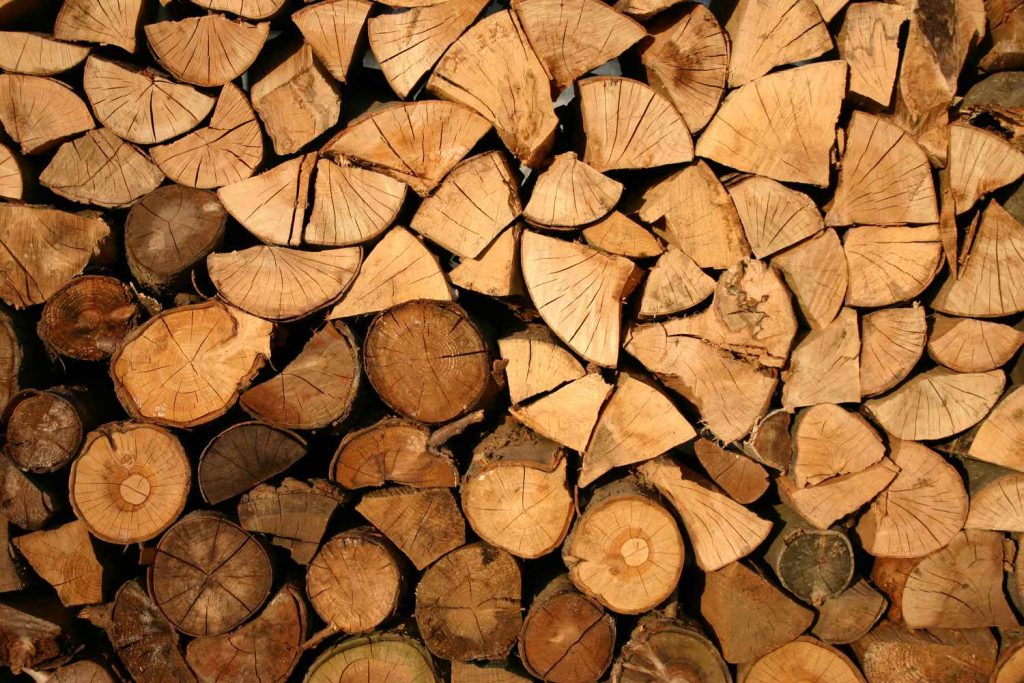 Abstract Firewood Wooden Logs Cut