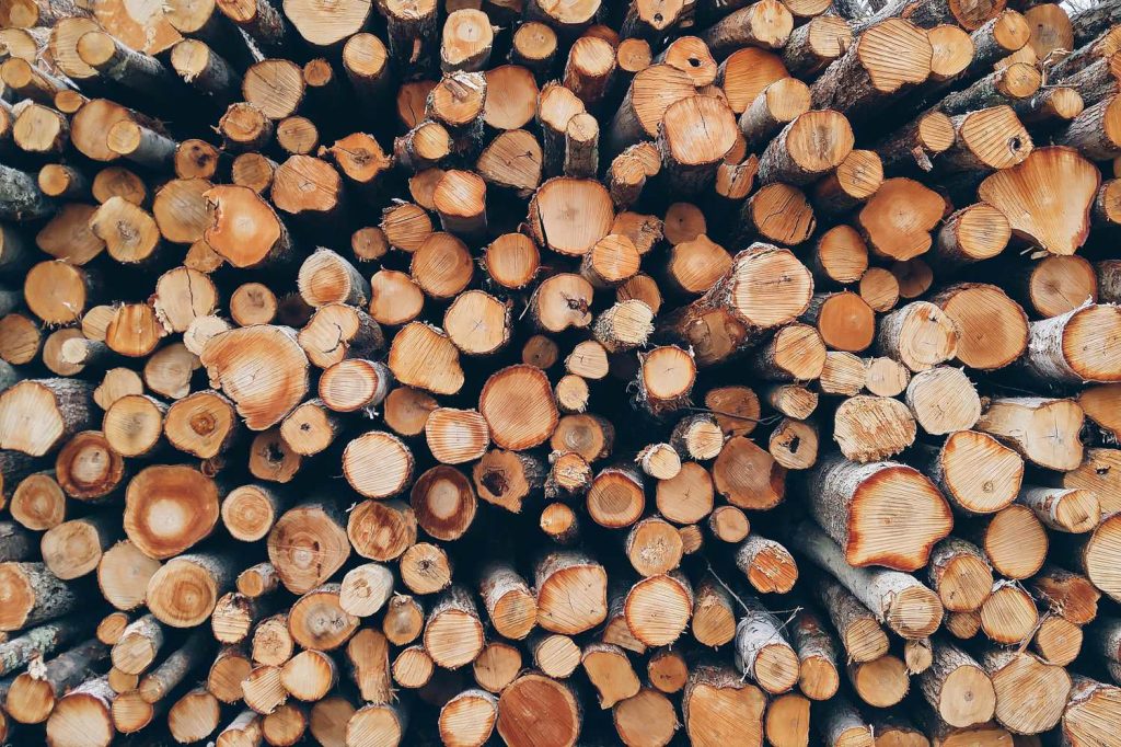 Batch dry firewood forestry logs